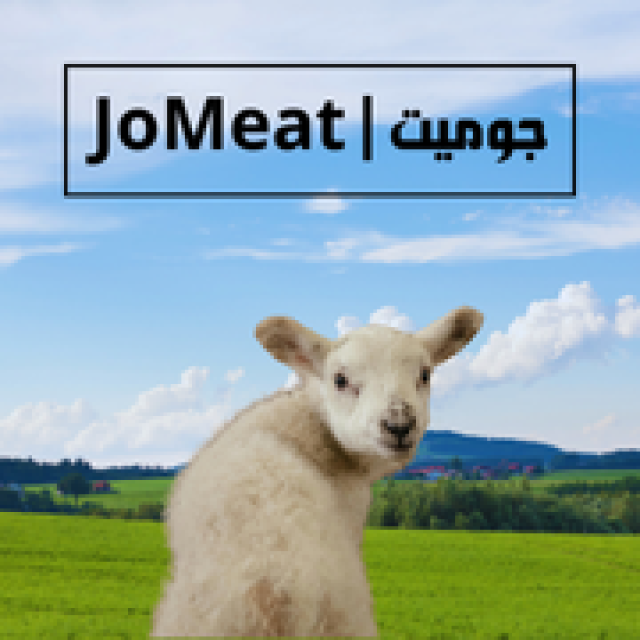 عقيقة عجل بلدي